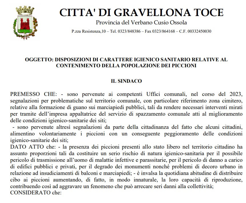 Udine: scatta l'ordinanza anti piccioni da parte del Comune