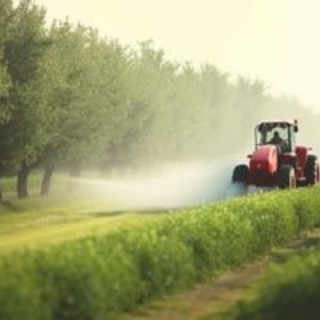 Coldiretti Piemonte, sblocco indennizzi Agricat: primo risultato della manifestazione sotto la prefettura di Torino