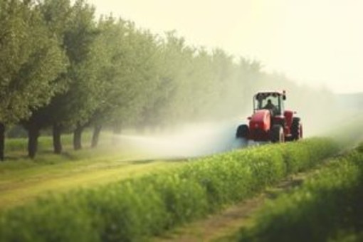 Coldiretti Piemonte, sblocco indennizzi Agricat: primo risultato della manifestazione sotto la prefettura di Torino