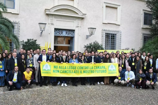 Coldiretti Piemonte: modificare la legge sulla canapa per salvaguardare una filiera da mezzo miliardo