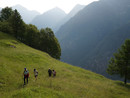 I camminatori d'Italia sul Grande Sentiero Walser