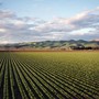 Agriturist celebra il turismo rurale al Forum nazionale in Toscana il 27 e 28 novembre