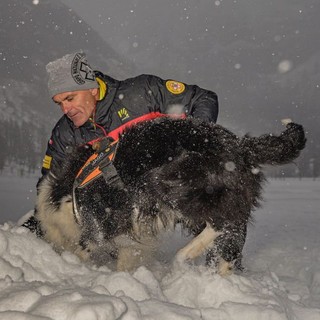 Foto: conduttori e cani della X Delegazione Valdossola ( Luca Tondat)