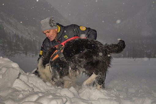 Foto: conduttori e cani della X Delegazione Valdossola ( Luca Tondat)