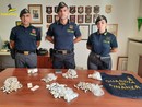 Trafficante nigeriana arrestata dalla Finanza, in valigia aveva 3,3 chili di cocaina ed eroina