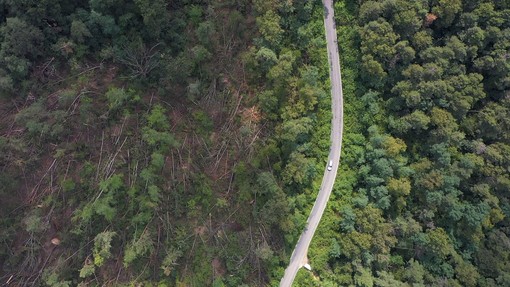 Torna Call for Ideas “Strategia Clima”: Fondazione Cariplo sostiene progetti di transizione climatica