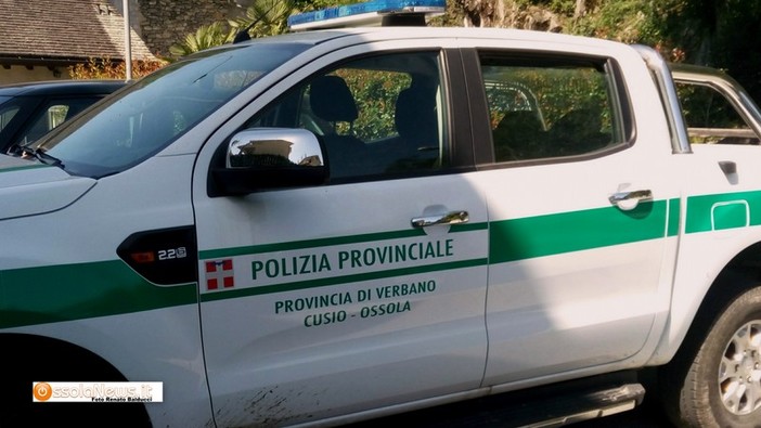 Macabro ritrovamento ai Bagni di Craveggia, la Polizia Provinciale trova un cranio umano