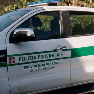 Macabro ritrovamento ai Bagni di Craveggia, la Polizia Provinciale trova un cranio umano