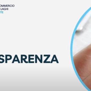 Giornata della trasparenza: ecco i dati del 2024