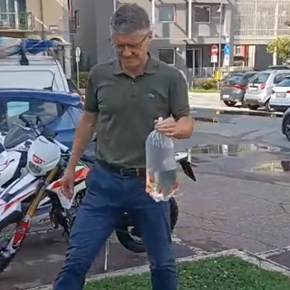 Promessa mantenuta: il sindaco Morandi libera pesci rossi nella fontana di Piazza Resistenza VIDEO