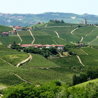 Un sondaggio nazionale rivela che il piemontese è tra i dialetti meno apprezzati in Italia