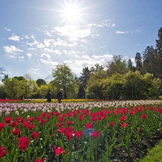 Avventure all’aria aperta ed eventi fioriti: la primavera del Distretto Turistico dei laghi