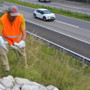 L'Ufficio svizzero delle strade tutela animali e vegetali