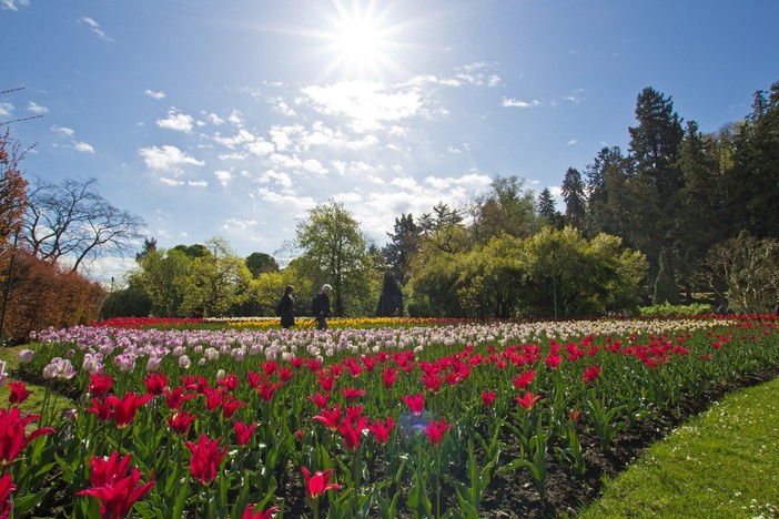 Avventure all’aria aperta ed eventi fioriti: la primavera del Distretto Turistico dei laghi