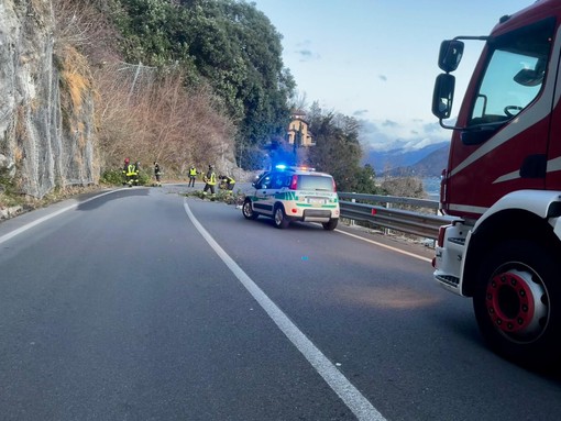 Rimossi alberi e rami caduti a causa del vento sulla SS34 FOTO