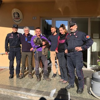 Disperso in Val Grande: ritrovato vivo nei boschi il cane dell'escursionista varesino