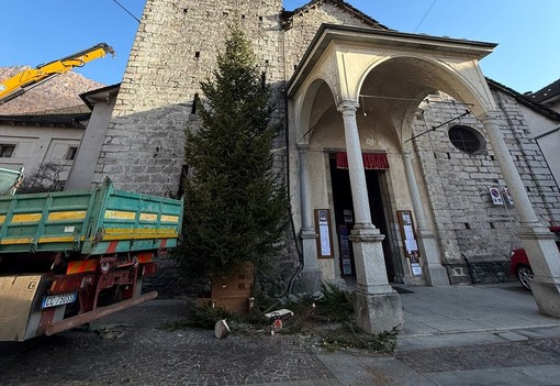 Fervono i preparativi per l'albero di Natale in piazza Beltrami FOTO