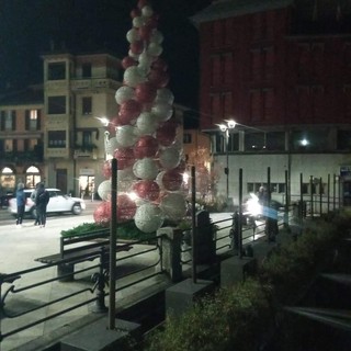 Omegna si prepara al Natale con il nuovo albero in largo Cobianchi