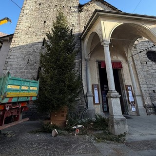 Fervono i preparativi per l'albero di Natale in piazza Beltrami FOTO