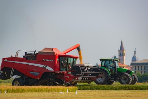 Accordo Mercosur: una minaccia per l’agricoltura europea e italiana