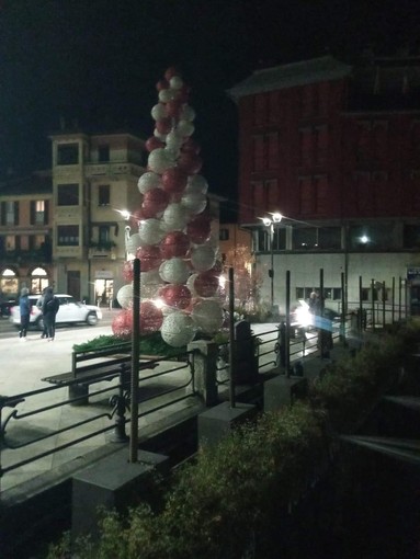 Omegna si prepara al Natale con il nuovo albero in largo Cobianchi