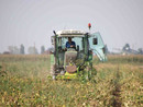 Bando per le misure agro-climatico-ambientali: 16,5 milioni per agricoltori e allevatori