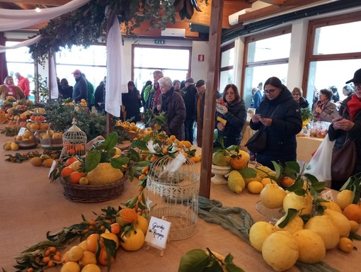 Taglio del nastro per la diciottesima edizione degli &quot;Agrumi di Cannero&quot; FOTO