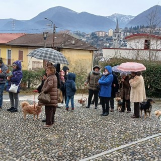 Anche a Omegna la benedizione degli animali FOTO