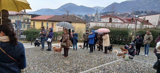 Anche a Omegna la benedizione degli animali FOTO