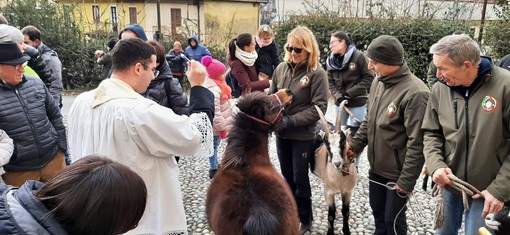 Torna a Pallanza la tradizionale benedizione degli animali