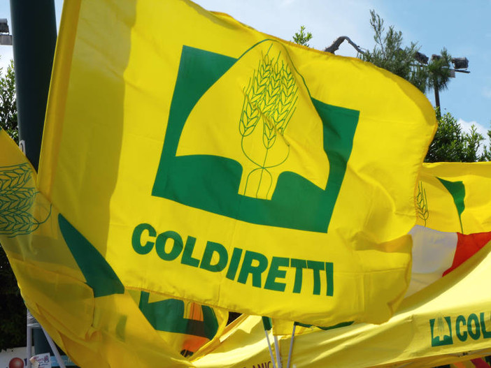 Coldiretti Piemonte lancia il manifesto delle priorità per l'agricoltura in vista delle elezioni Europee