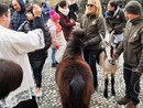 In piazza Garibaldi la cerimonia di benedizione degli animali