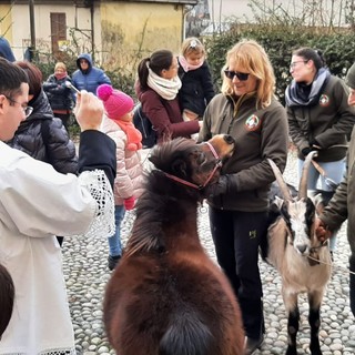 Torna a Pallanza la tradizionale benedizione degli animali