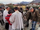 Omegna celebra gli animali e Sant'Antonio Abate   FOTO