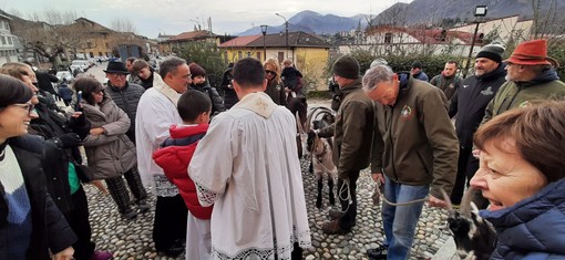 Omegna celebra gli animali e Sant'Antonio Abate   FOTO