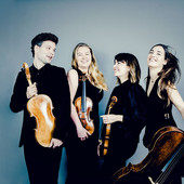 A Stresa Festival torna la musica del Barbican Quartet