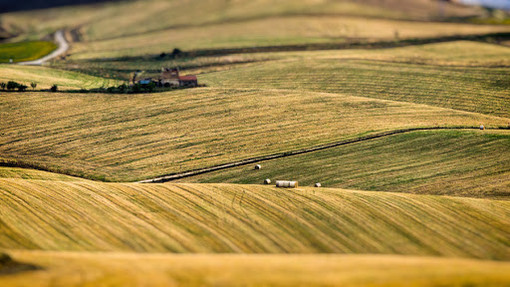 Coldiretti: in Piemonte nel 2022 consumati 617 ettari di suolo