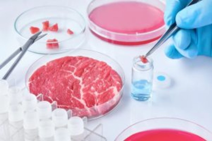 Carne artificiale, Coldiretti: &quot;L'opposizione alla legge va contro la scienza e la salute dei citadini&quot;