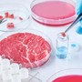 Carne artificiale, Coldiretti: &quot;L'opposizione alla legge va contro la scienza e la salute dei citadini&quot;