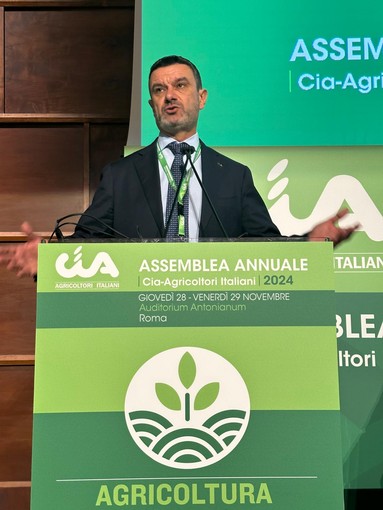 Assemblea Cia: aree interne e svantaggiate diventino “zone franche”