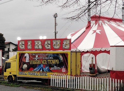 Il circo arriva a Verbania, Lav Vco: &quot;Finalmente nessuno spettacolo con animali&quot;