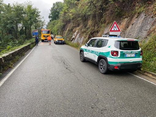 Frana sulla strada del lago d'Orta: urge mettere in sicurezza il versante del Monte Zuoli