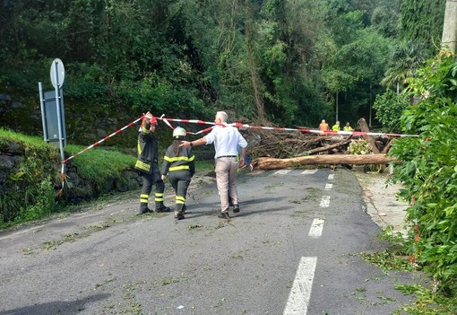 Cannobio: primo sopralluogo geologico dopo la frana di Traffiume FOTO