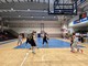 Basket, in campo Paracchini Expo Foma e Findomo Pediacooph24