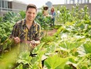 Il bando da 45 milioni di euro con il &quot;pacchetto&quot; per i giovani agricoltori slitta al 15 aprile