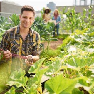 Il bando da 45 milioni di euro con il &quot;pacchetto&quot; per i giovani agricoltori slitta al 15 aprile