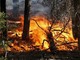 Incendi boschivi, indagine dell'Uncem per capire come vanno prevenzione e gestione dell'emergenza