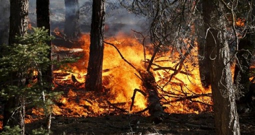 Incendi boschivi, indagine dell'Uncem per capire come vanno prevenzione e gestione dell'emergenza