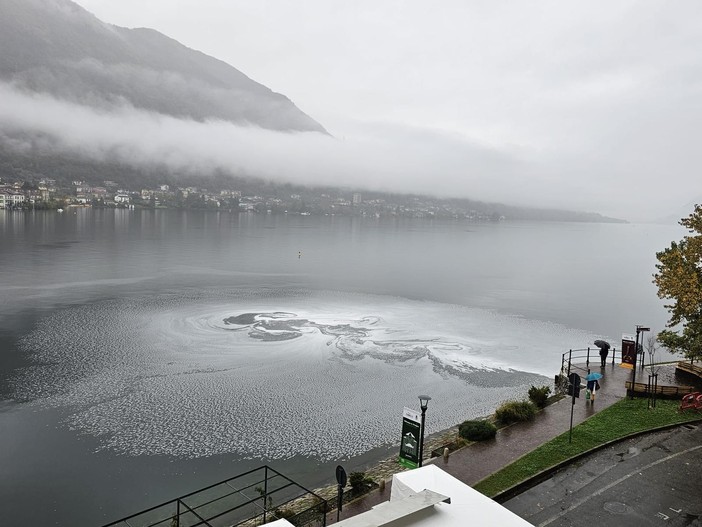 Macchia biancastra nelle acque del Lago d'Orta davanti ai giardini di Omegna