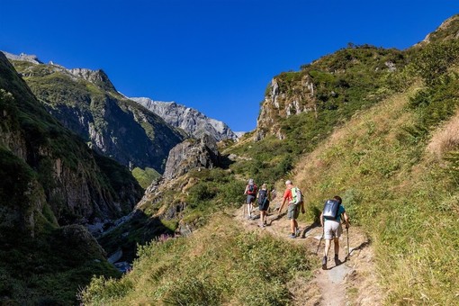 Lettura e natura, passeggiate per famiglie dall'Ossola al Cusio e Verbano